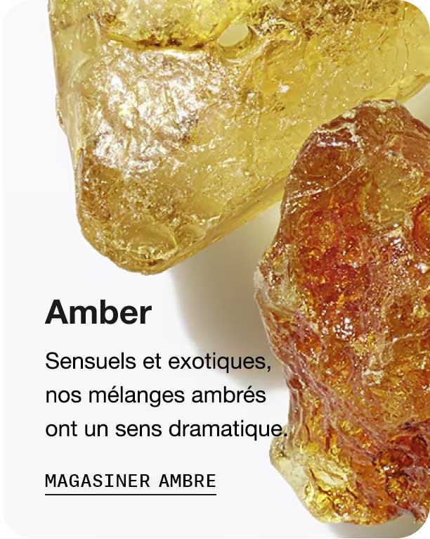 Ambre. Sensuels et exotiques, nos mélanges ambrés ont un sens dramatique. Magasinez Ambre