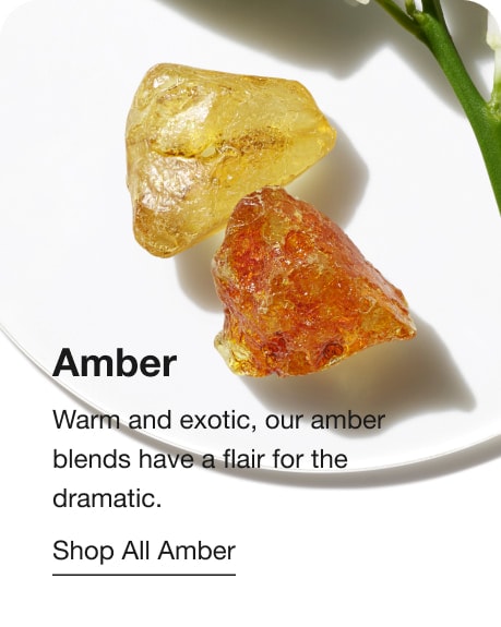Ambre. Sensuels et exotiques, nos mélanges ambrés ont un sens dramatique. Magasinez Ambre