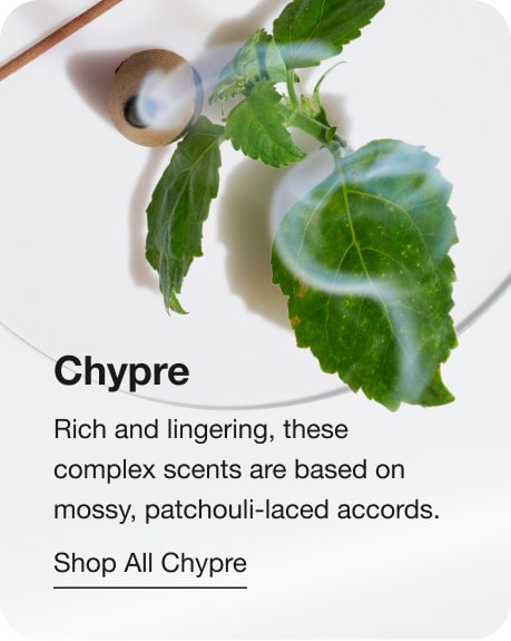 Chypre. Riches et persistants, ces parfums complexes ont une base de notes de patchouli. Magasinez les chypriens